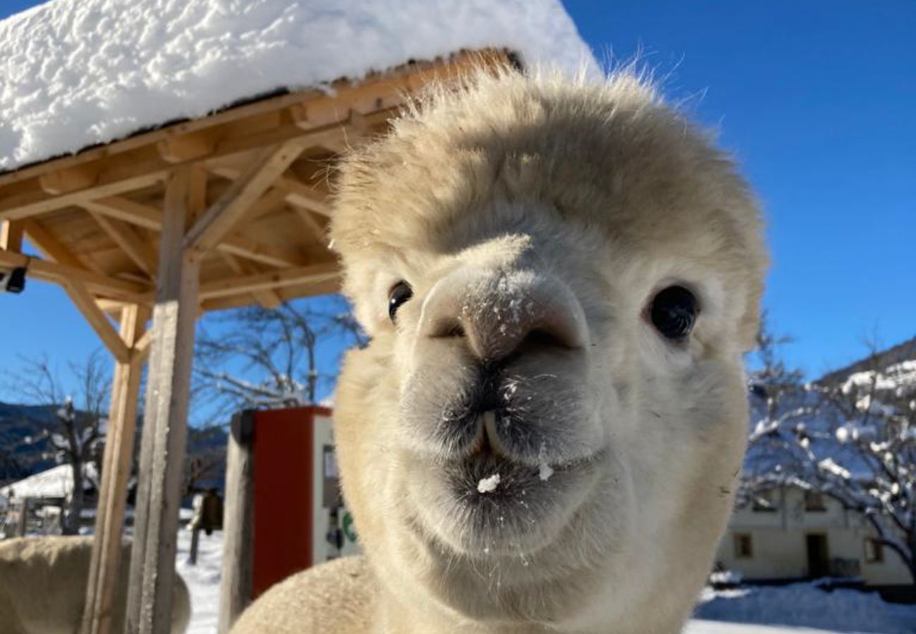 Chalet in St. Georgen am Kreischberg - Woody 4 - with whirlpool and Kreischberg-view Chalet in St. Georgen am Kreischberg - Woody 4 - with whirlpool and Kreischberg-view