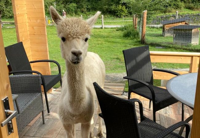 Chalet in St. Georgen am Kreischberg - Woody 14 - Holiday home with sauna & whirlpool Chalet in St. Georgen am Kreischberg - Woody 14 - Holiday home with sauna & whirlpool