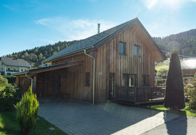 Villa in Murau - Murau 1 - With whirlpool and sauna