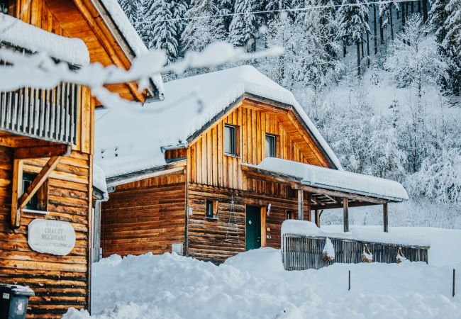 St. Georgen am Kreischberg - Chalet