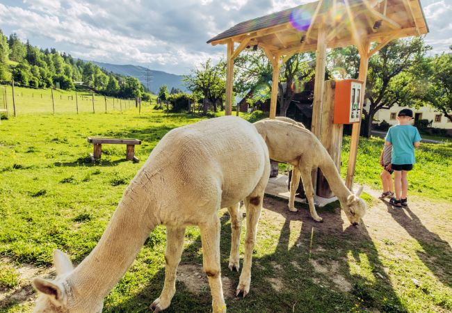 Chalet in Murau - Murau 9 - mit Infrarotsauna und Whirlpool Chalet in Murau - Murau 9 - mit Infrarotsauna und Whirlpool
