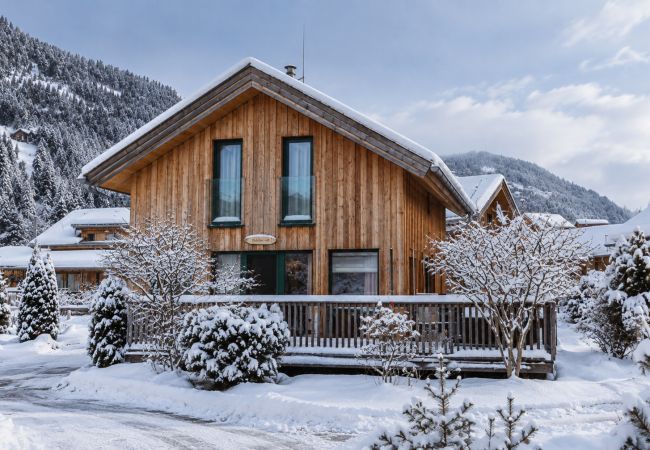 Chalet in Murau - Eulennest